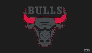 欧冠倒计时，芝加哥公牛窗口期再遭质疑，细节引发关注，质疑声仍在，球探报告显示潜力的简单介绍